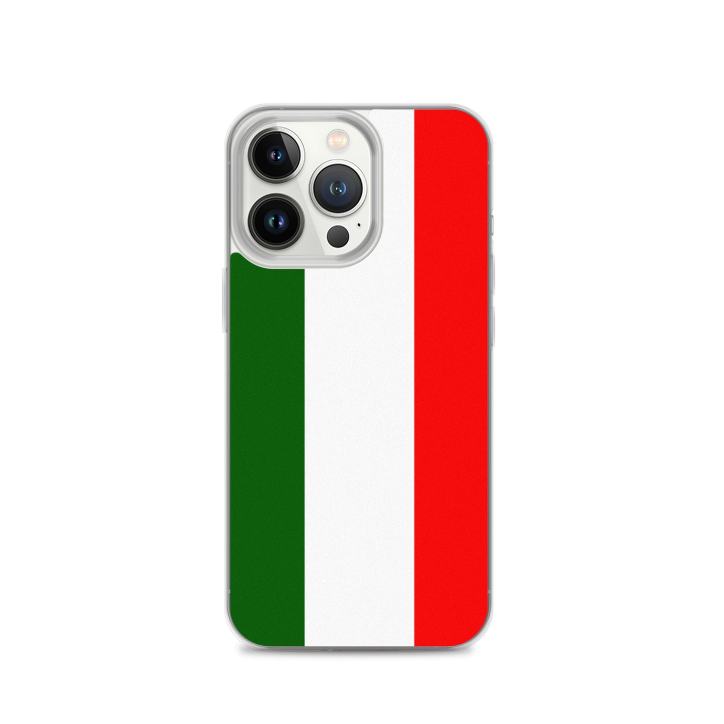 Flag Of Italy - Bandiera d'Italia iPhone Case TeeSpect